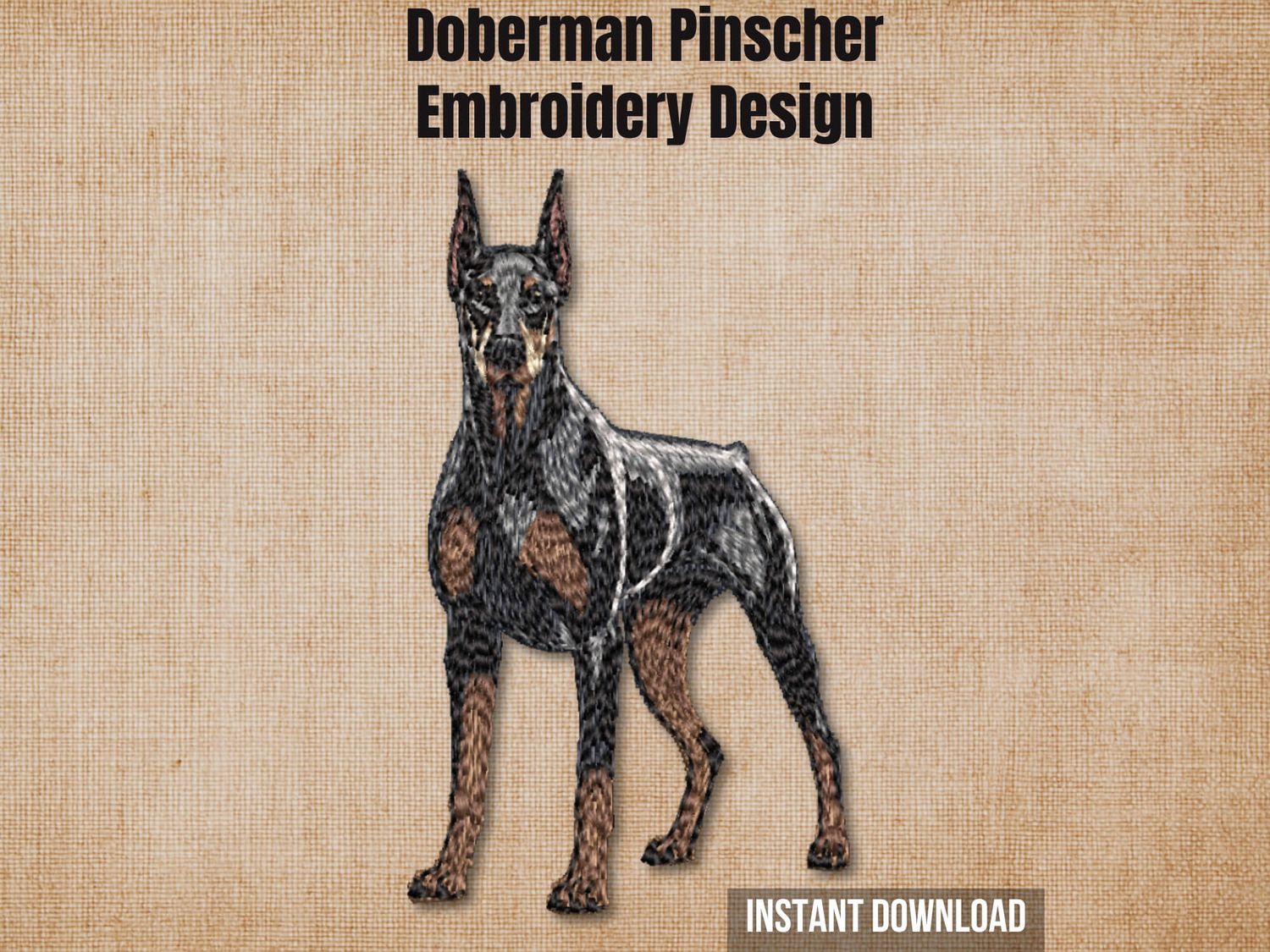 Doberman Pinscher 6 - Full Body