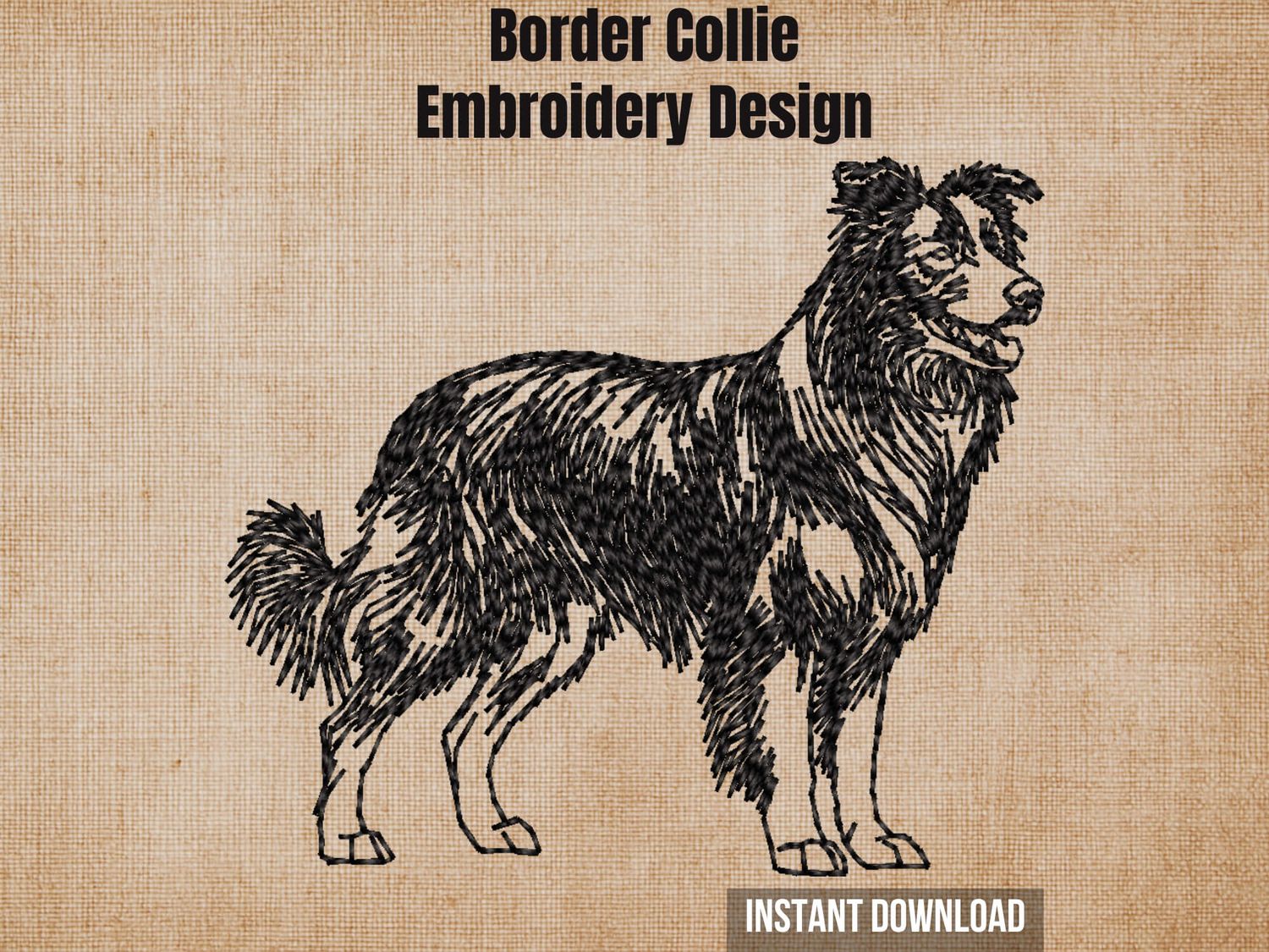 Digital render of a full-body Border Collie embroidery design file with title and format text labels.