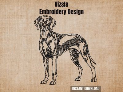 Vizsla embroidery design graphic showing a detailed black line drawing of a dog on a textured beige background.