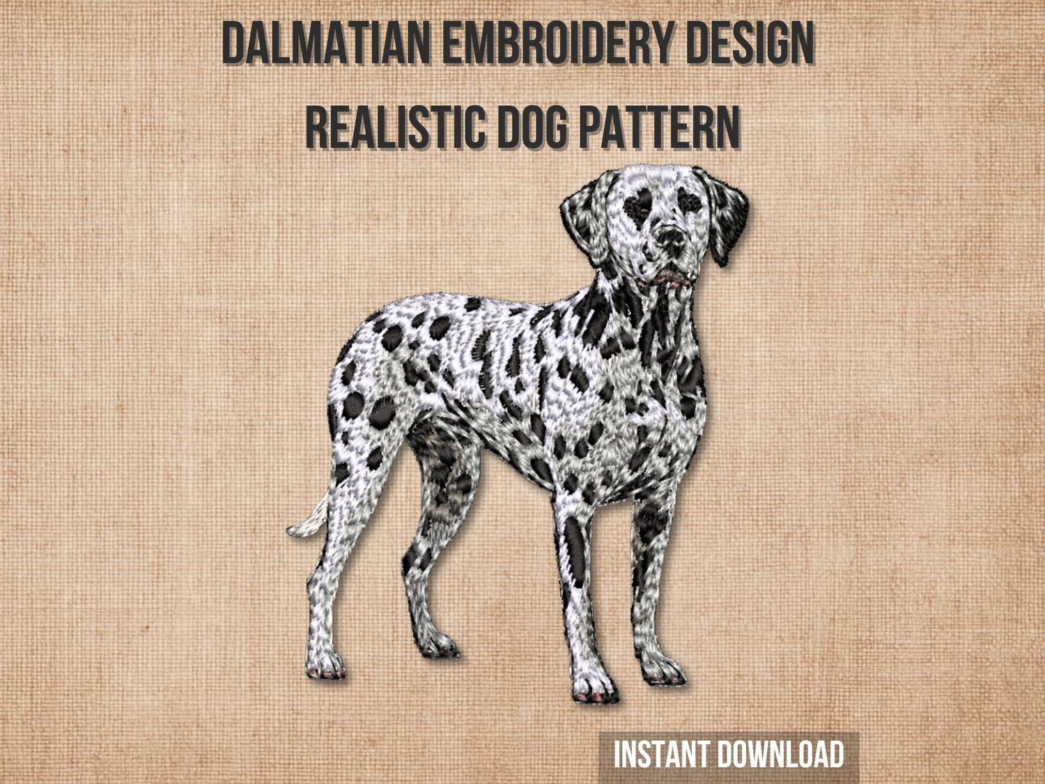 Dalmatian 2 - Full Body