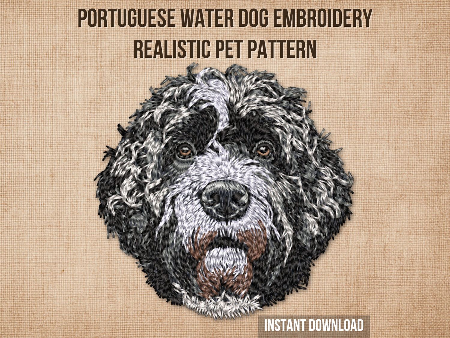 Portuguese Water Dog 3