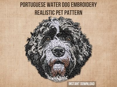 Portuguese Water Dog 3
