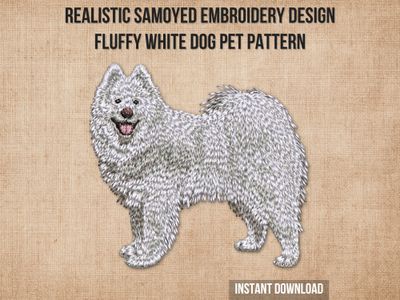 Samoyed 3 - Full Body