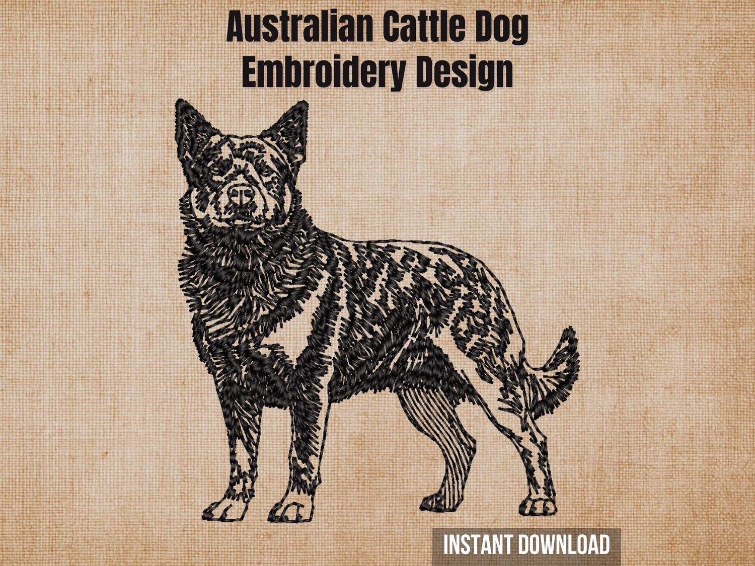 Australian Cattle Dog embroidery design graphic showing a detailed black sketch of a dog on a textured beige background.