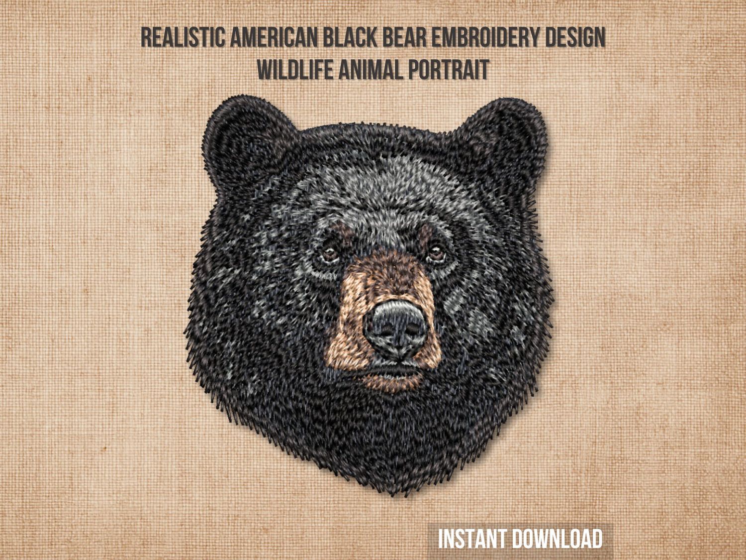 American Black Bear