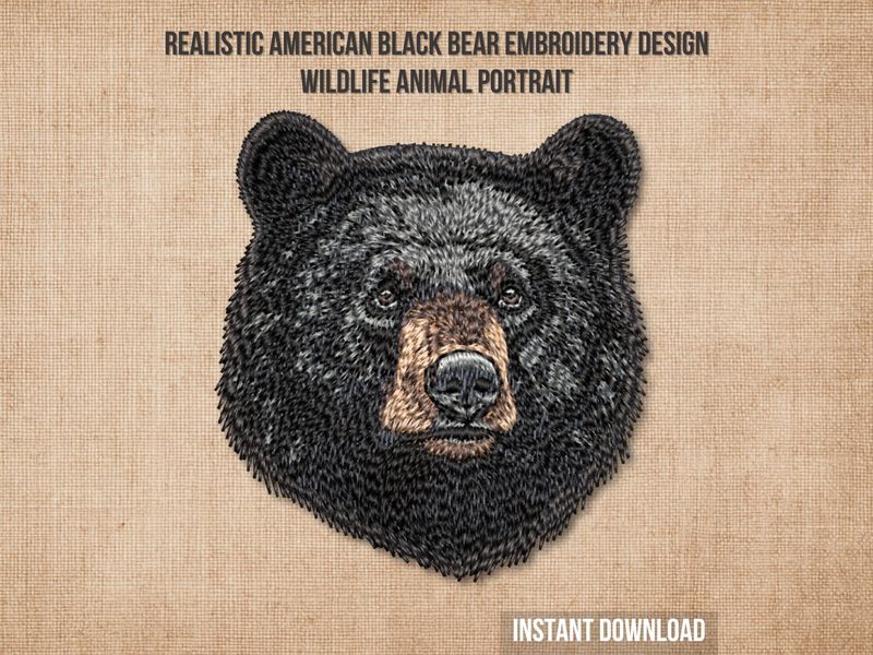 American Black Bear