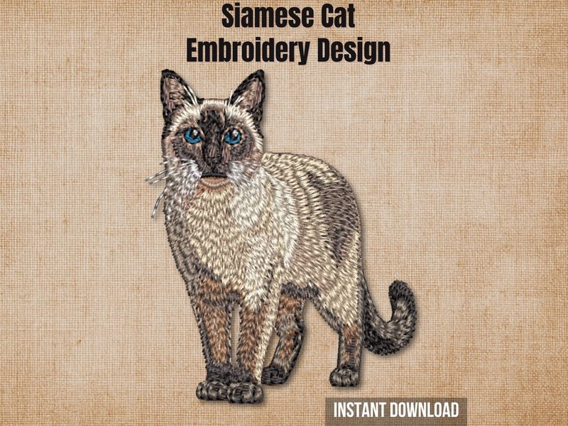 Siamese cat full-body full-color embroidery burlap background cover photo instant download digital design