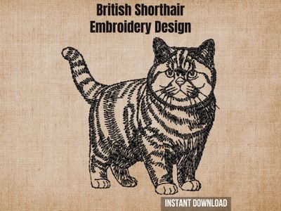Graphic of a British Shorthair full-body embroidery design on tan fabric with text.