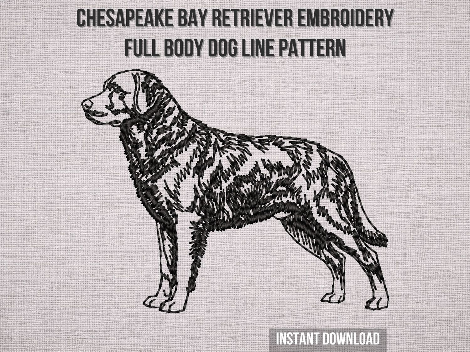 Chesapeake Bay Retriever Outline - Full Body
