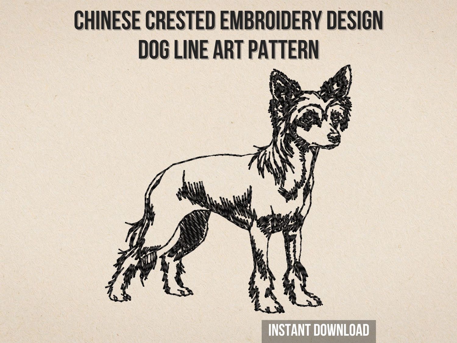 Black line art embroidery of a Chinese Crested dog standing, showing fine stitched details of its hairless body and furry ear
