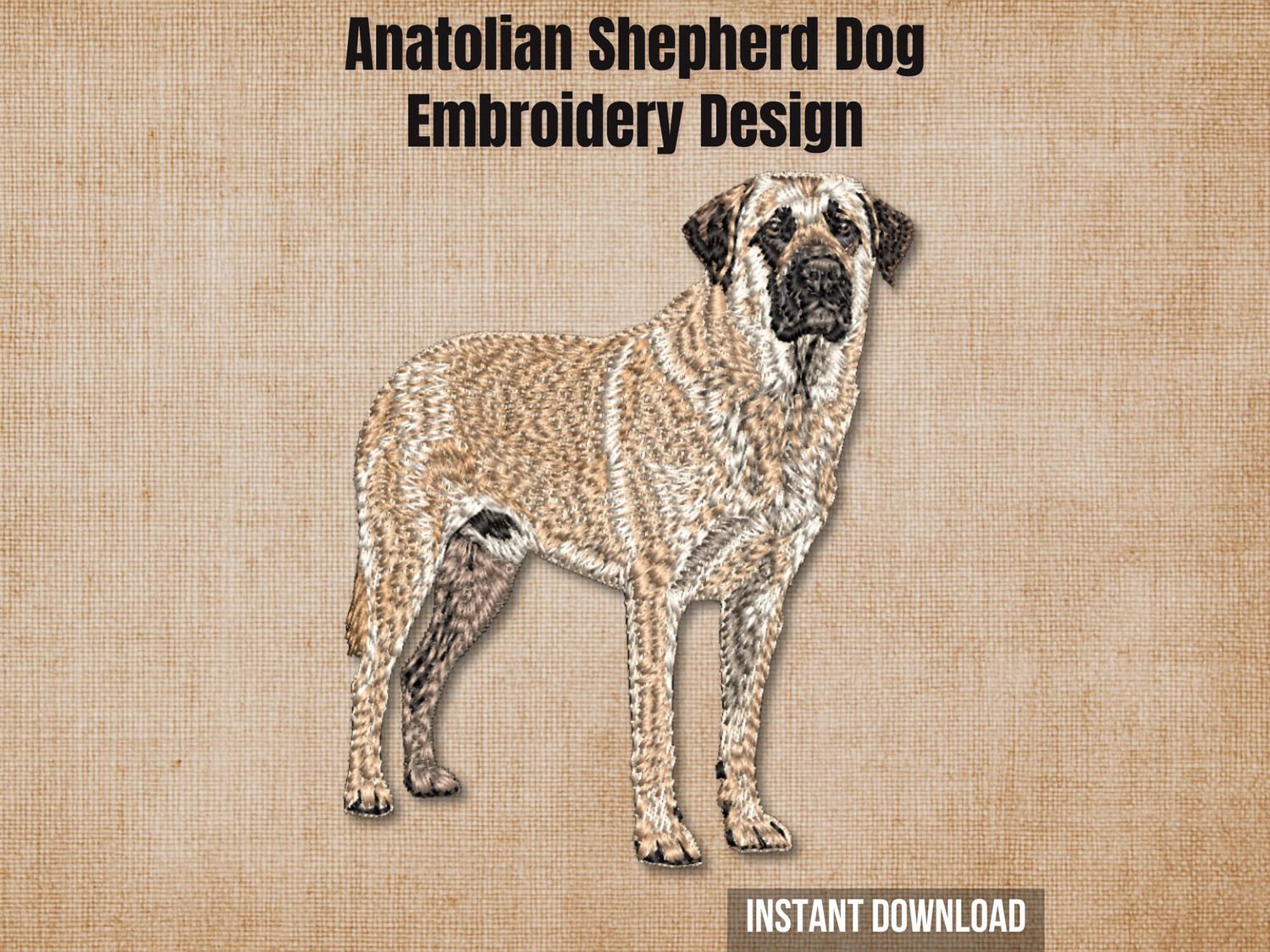 Graphic of an Anatolian Shepherd full-body embroidery design on tan fabric with text.