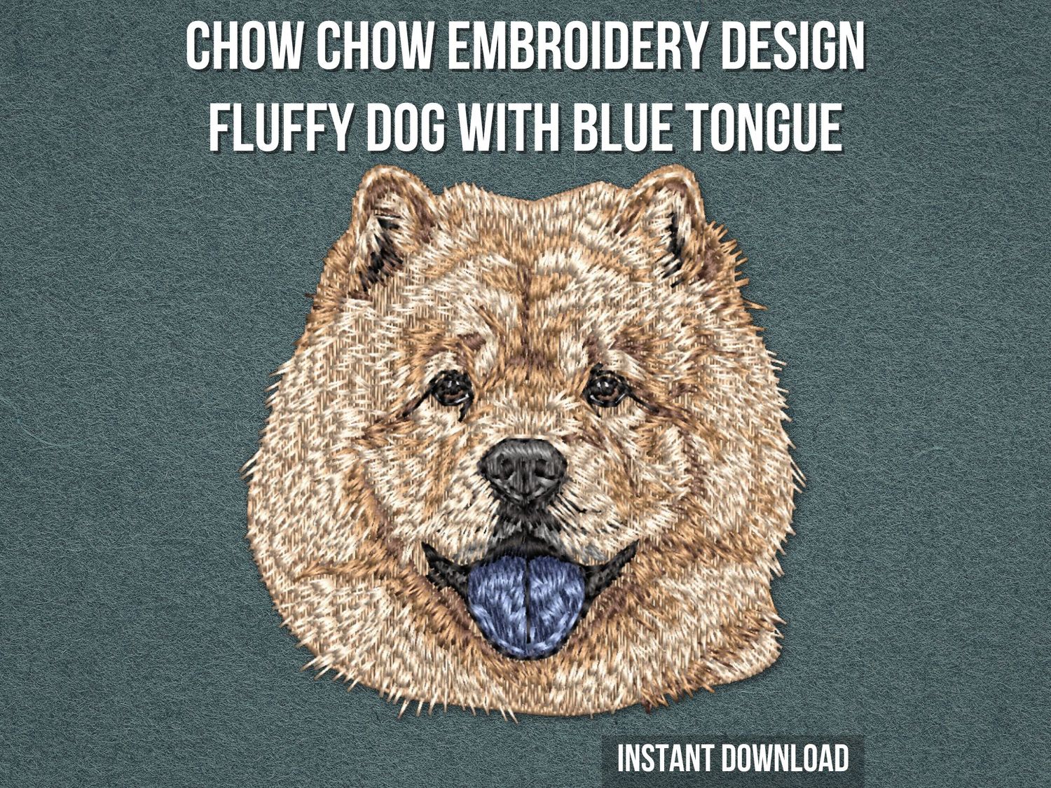 Chow Chow 5