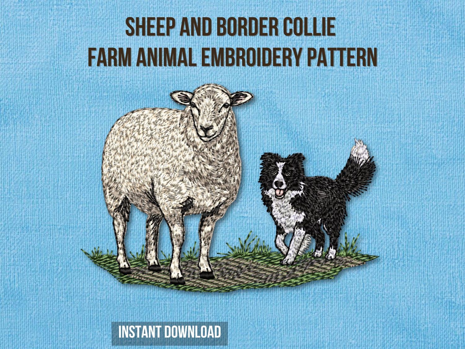 Border Collie Herding Sheep