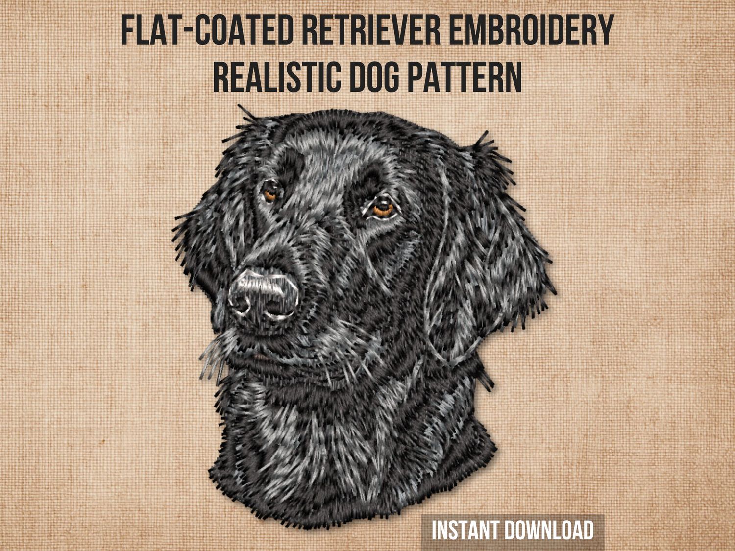 Flat Coated Retriever 2