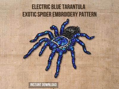 Electric Blue Earth Tiger Tarantula