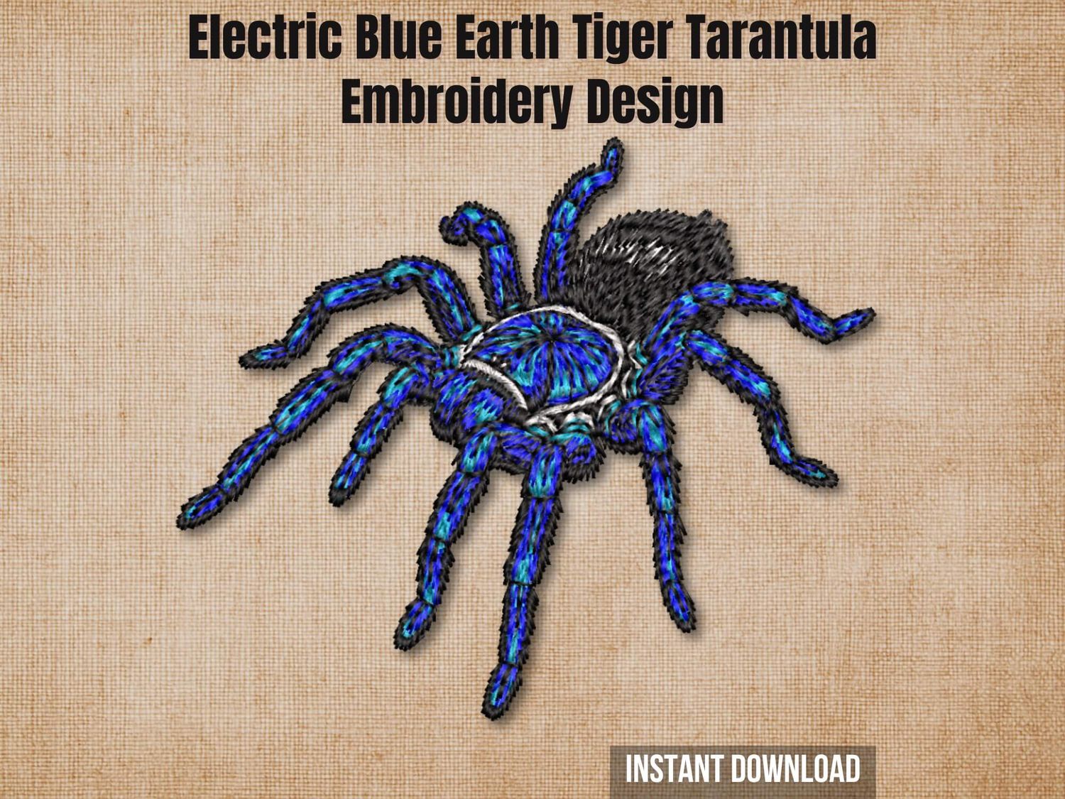 Graphic of an Electric Blue Tarantula embroidery design on tan fabric with text.