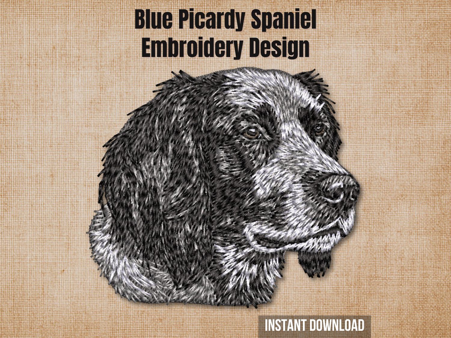 Blue Picardy Spaniel embroidery design, realistic dog head with silky gray and black coat on tan background.