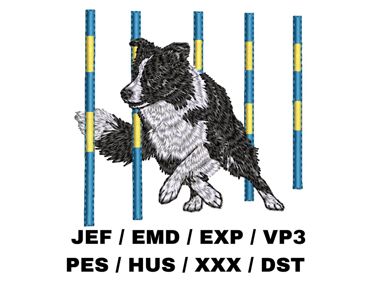 Border Collie 10 - Agility