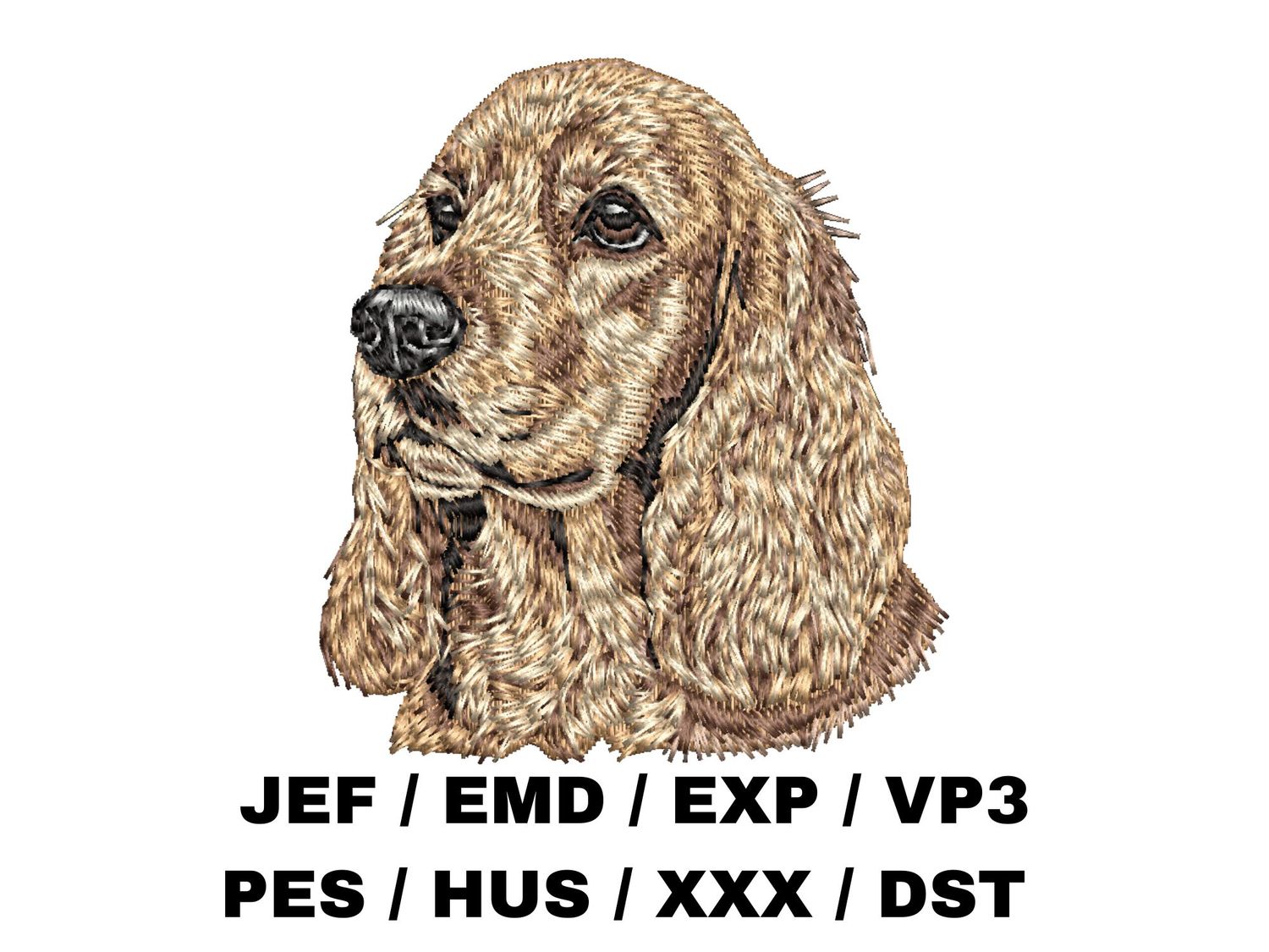 English Cocker Spaniel 7