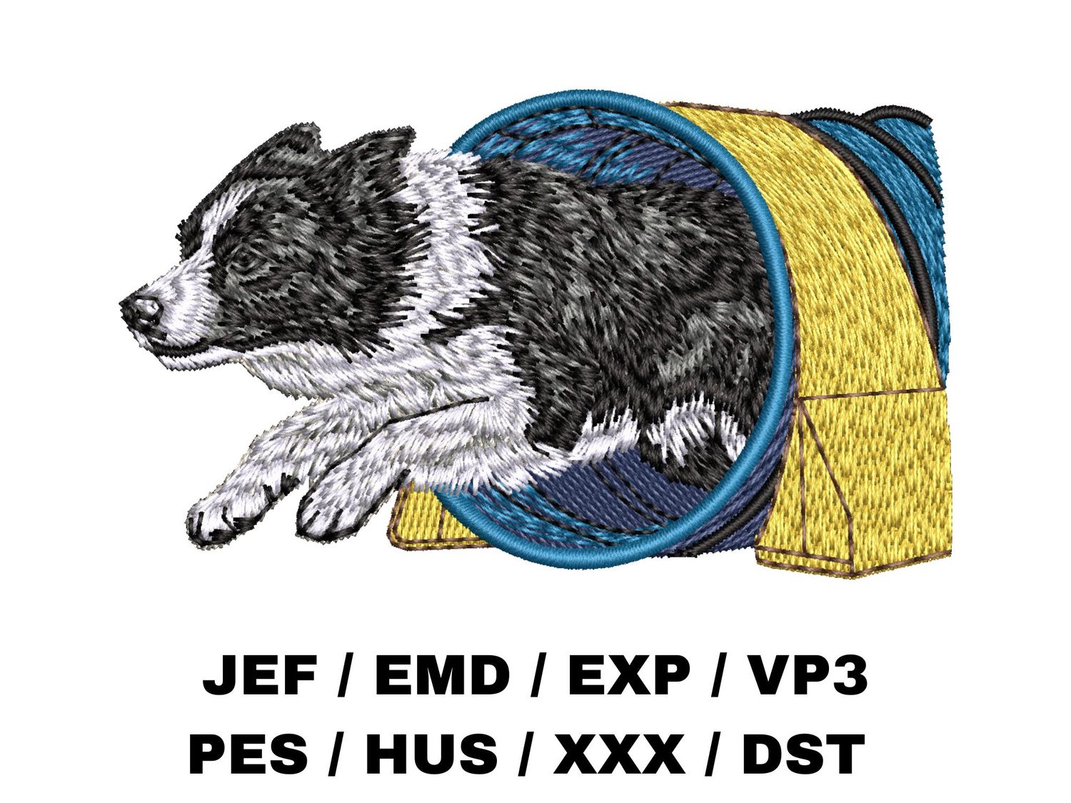 Border Collie 12 - Agility