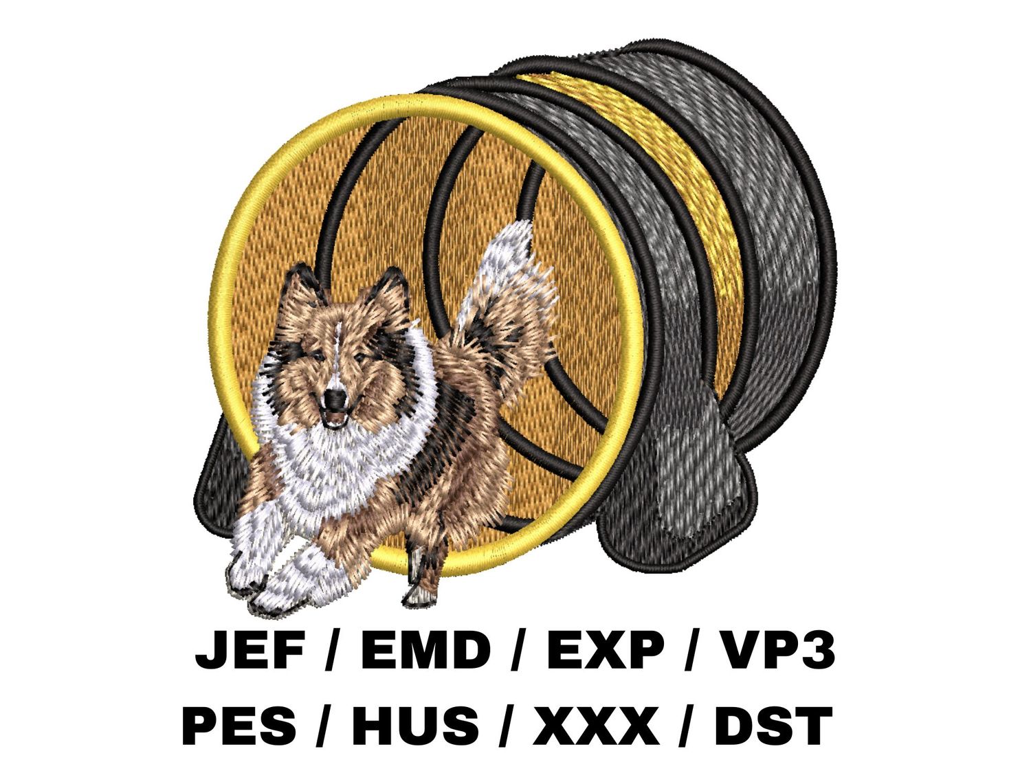 Shetland Sheepdog 12 - Agility