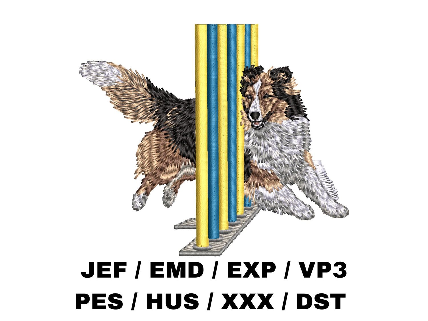 Shetland Sheepdog 13 - Agility