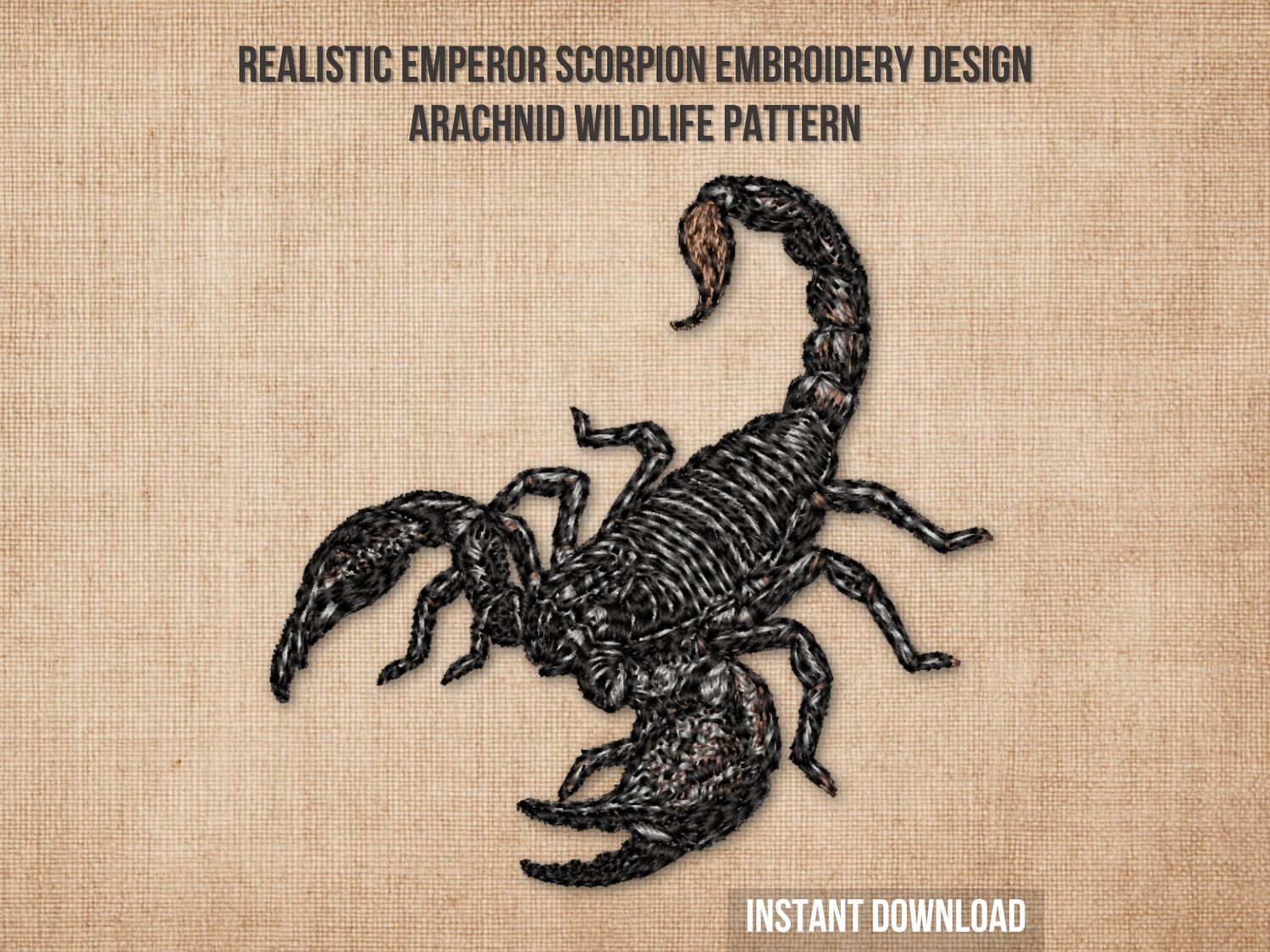 Emperor Scorpion