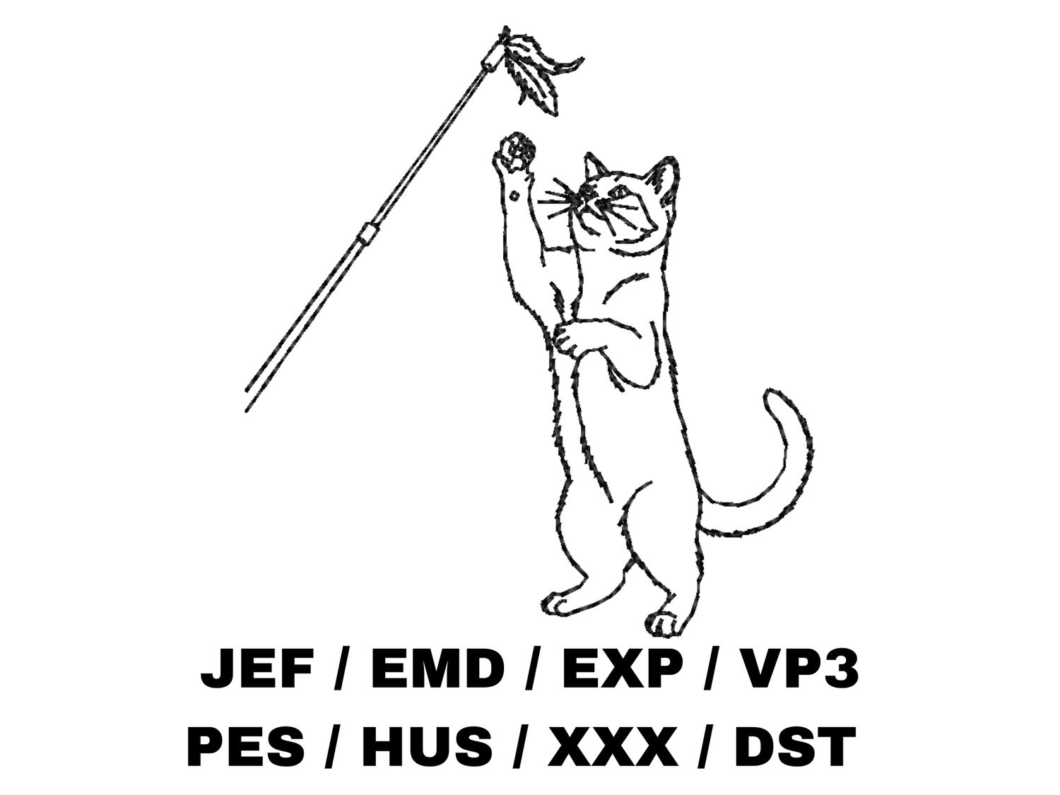 Cat Playing with a Wand Toy