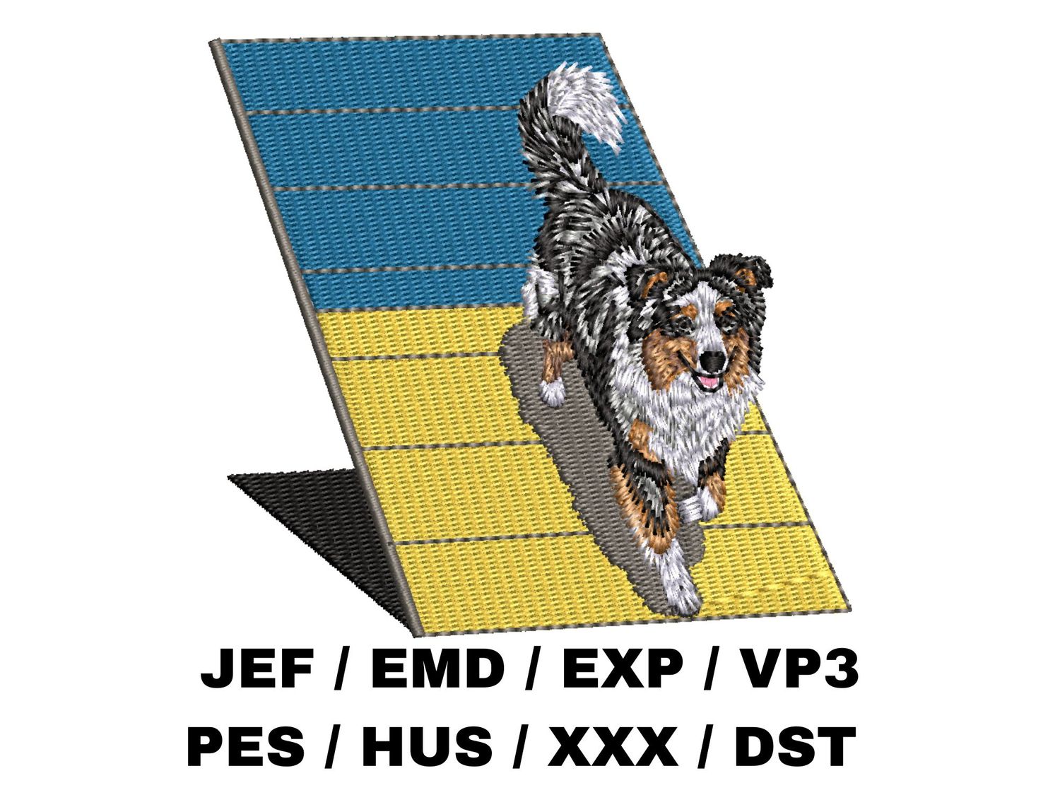 Australian Shepherd 12 - Agility