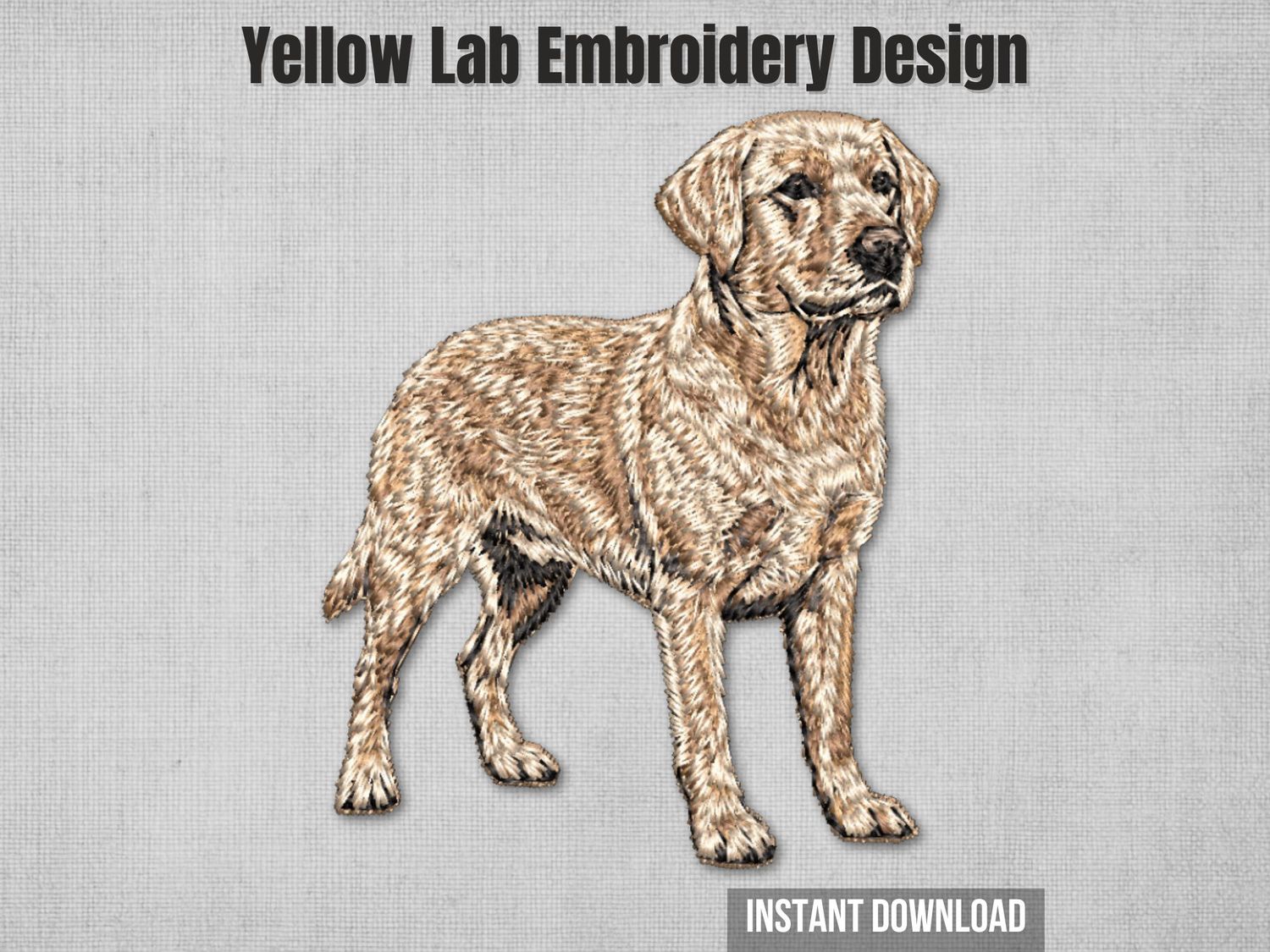Photorealistic standing yellow Lab embroidery for 4x4 hoops. Thread painting of a proud, multi-tonal Labrador portrait.