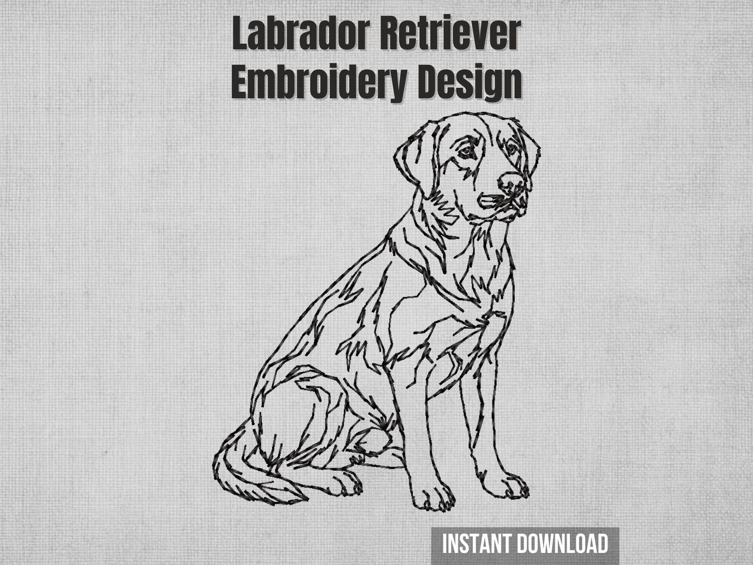 Labrador Retriever 30 Outline - Full Body Seated