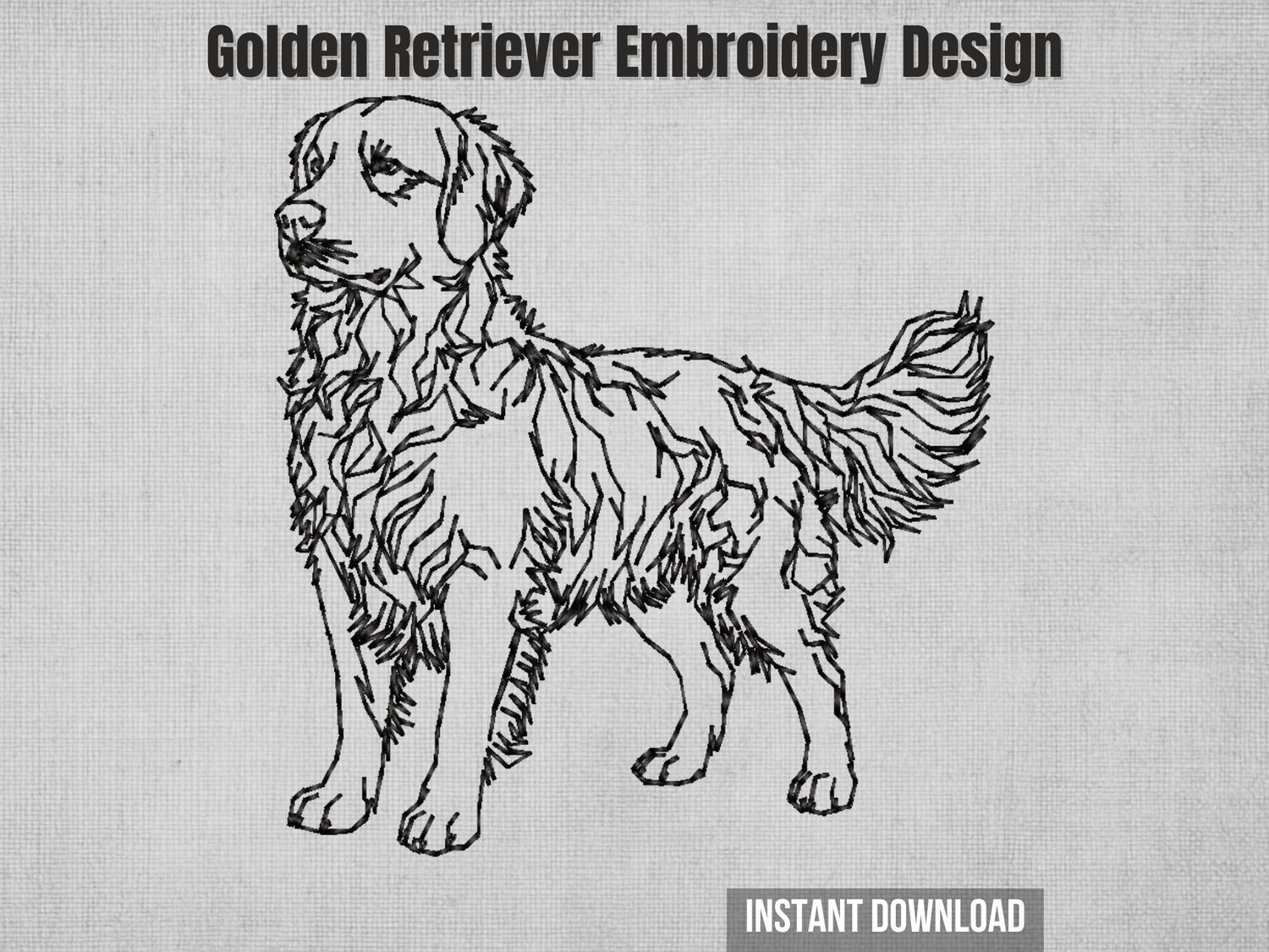 Golden Retriever standing sketch embroidery design - full body line art with flowing coat detail for machine embroidery files