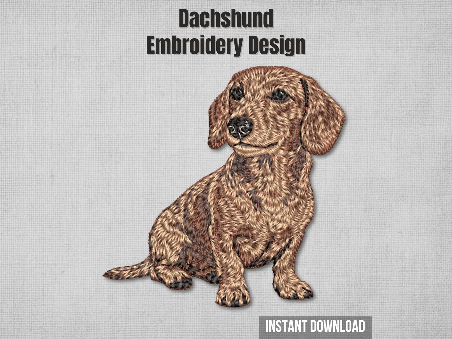 Dachshund 15 - Full Body Seated