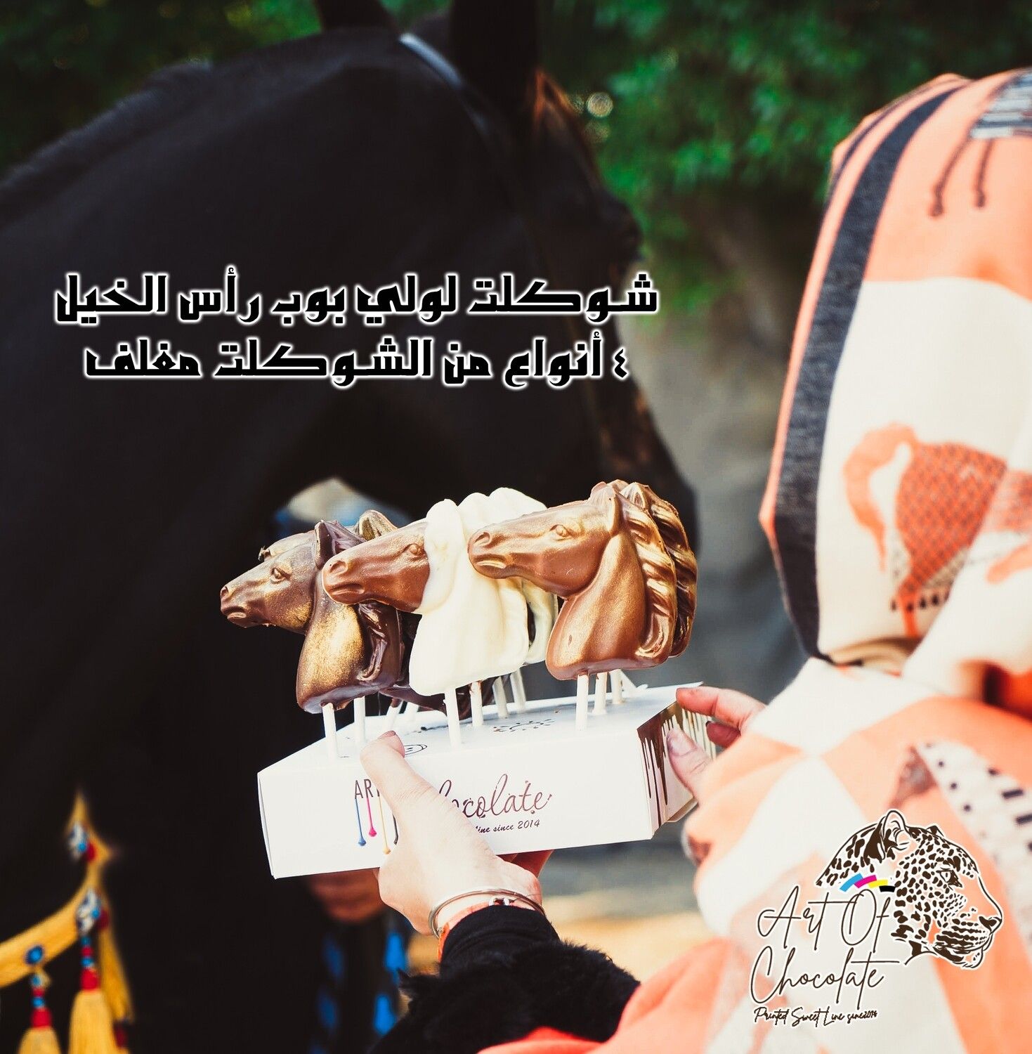 شوكلت لولي بوب رأس الحصان مغلف