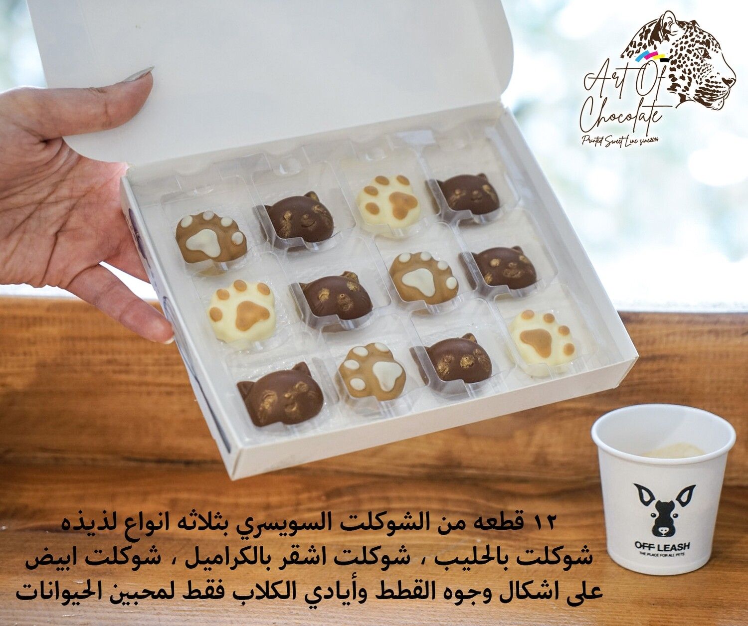 شوكلت راس وأيادي القطط