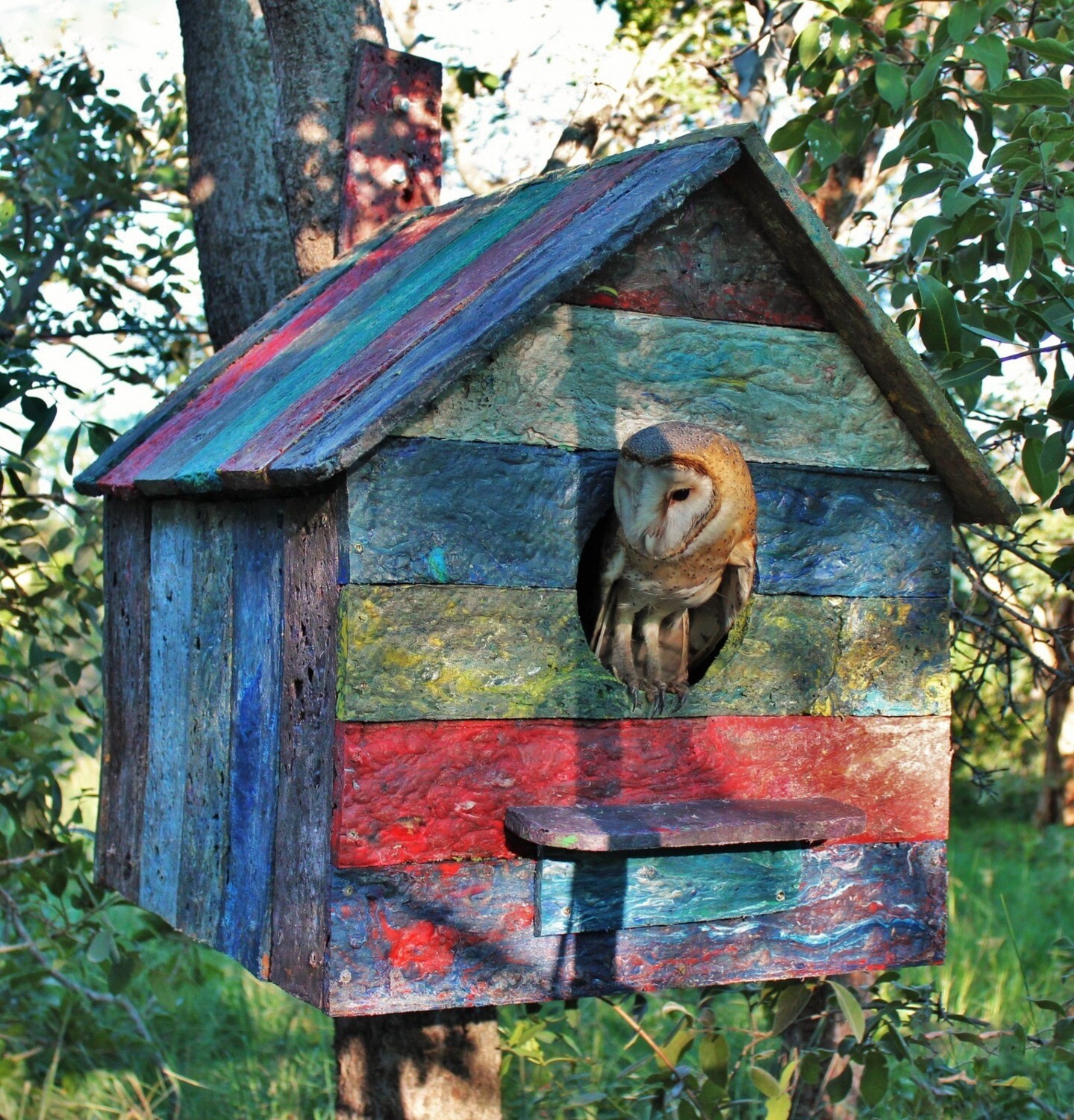 Owl Rescue Centre Barn Owl House