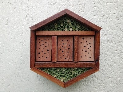 Bee Hotel - WiSe 6-Star
