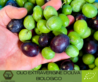 Olio Evo Biologico/ Organic Extra Virgin Olive Oil