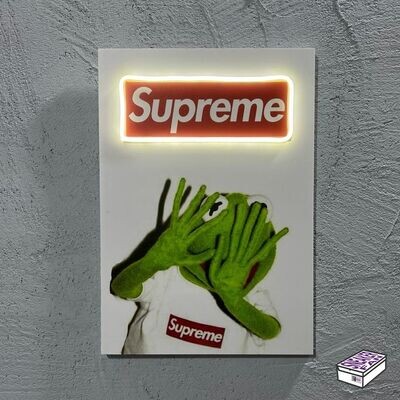 Sup Frog - Quadretto con Led