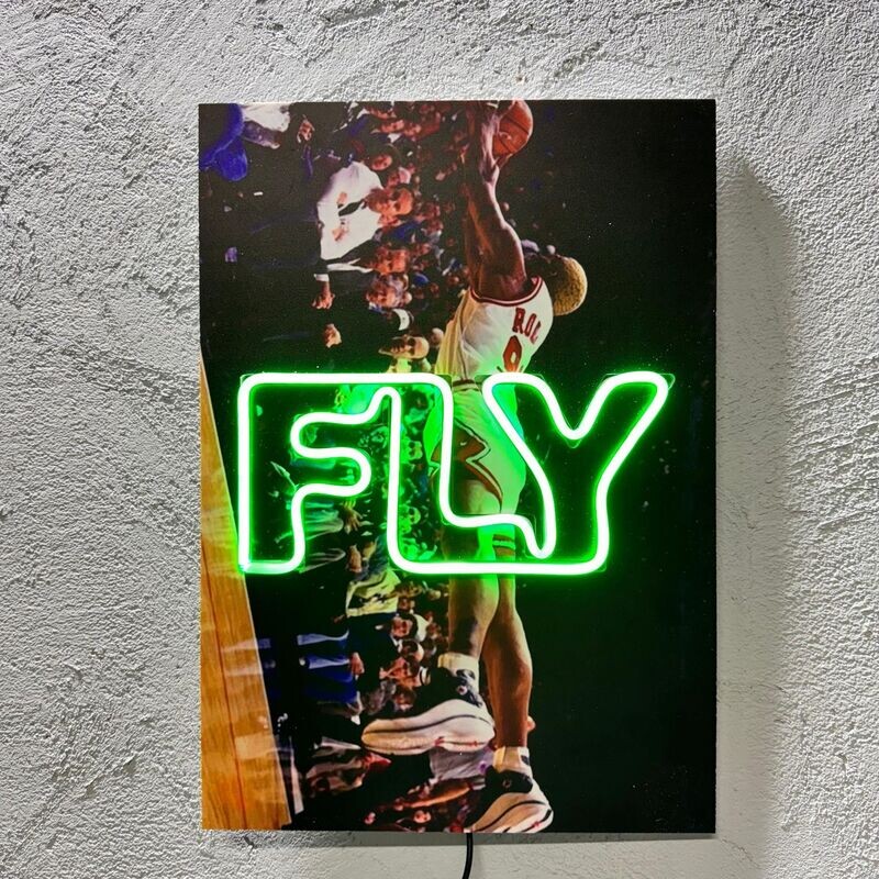 Fly - Quadretto con Led