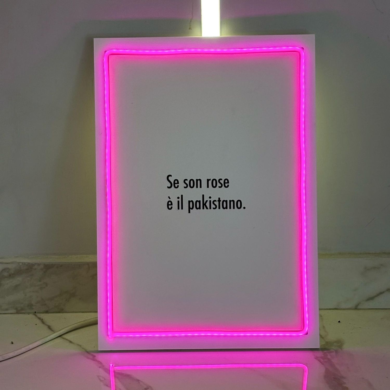 Se son rose è il pakistano - Quadretto con Led