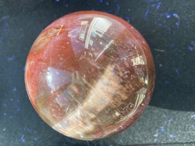 Fossilised Wood Sphere