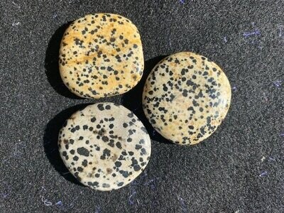 Dalmatian Jasper Palm-stones