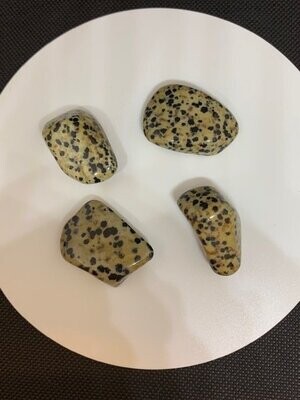 Dalmatian jasper tumble stones