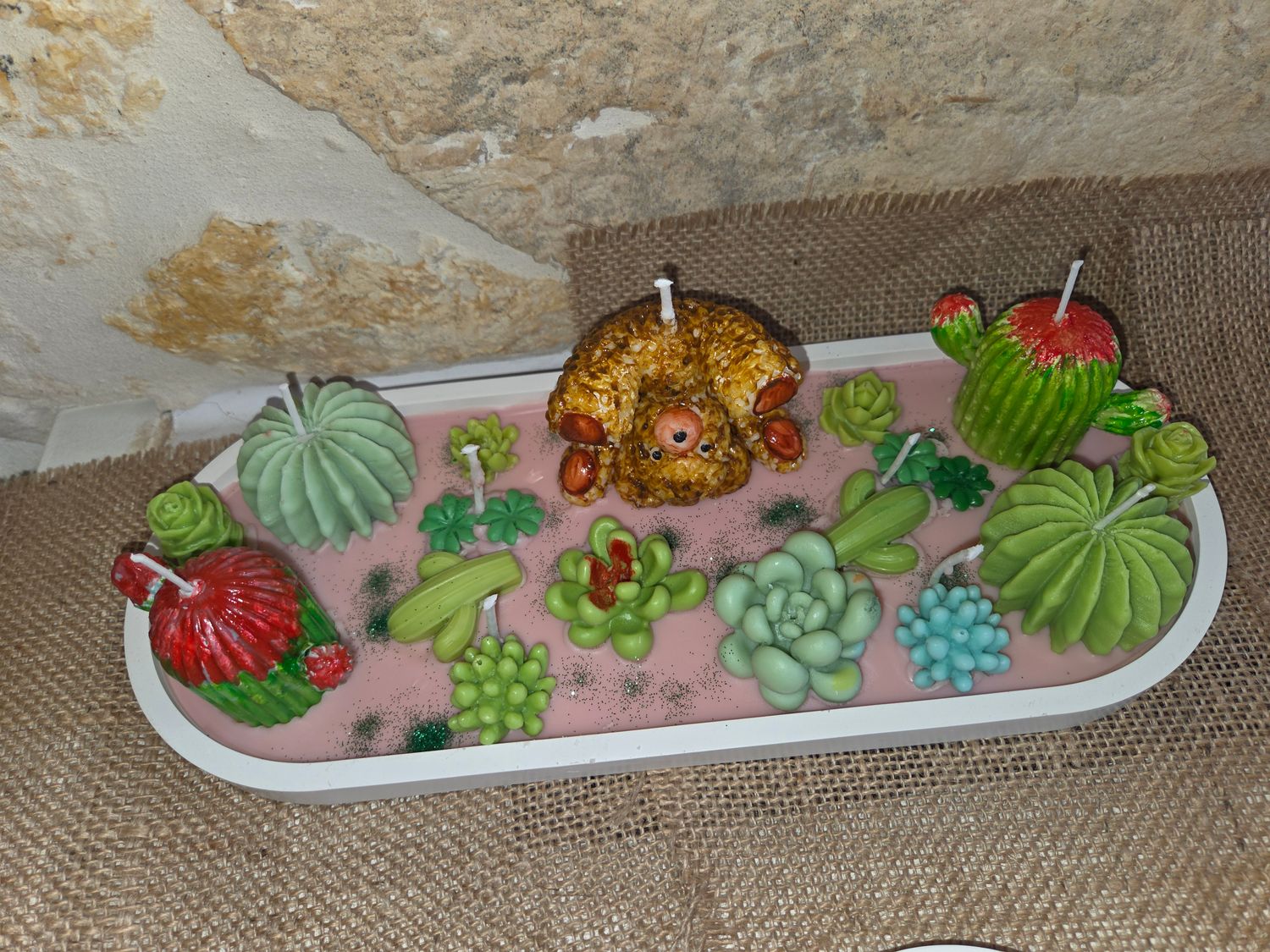 Teddy Bear Cholla Unique mit Duft