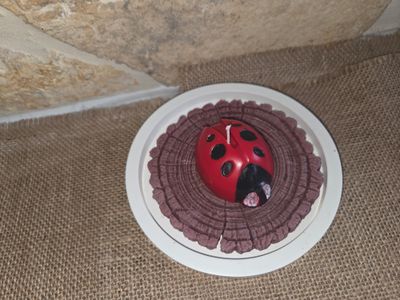 Tree Trunk with Insect Candle