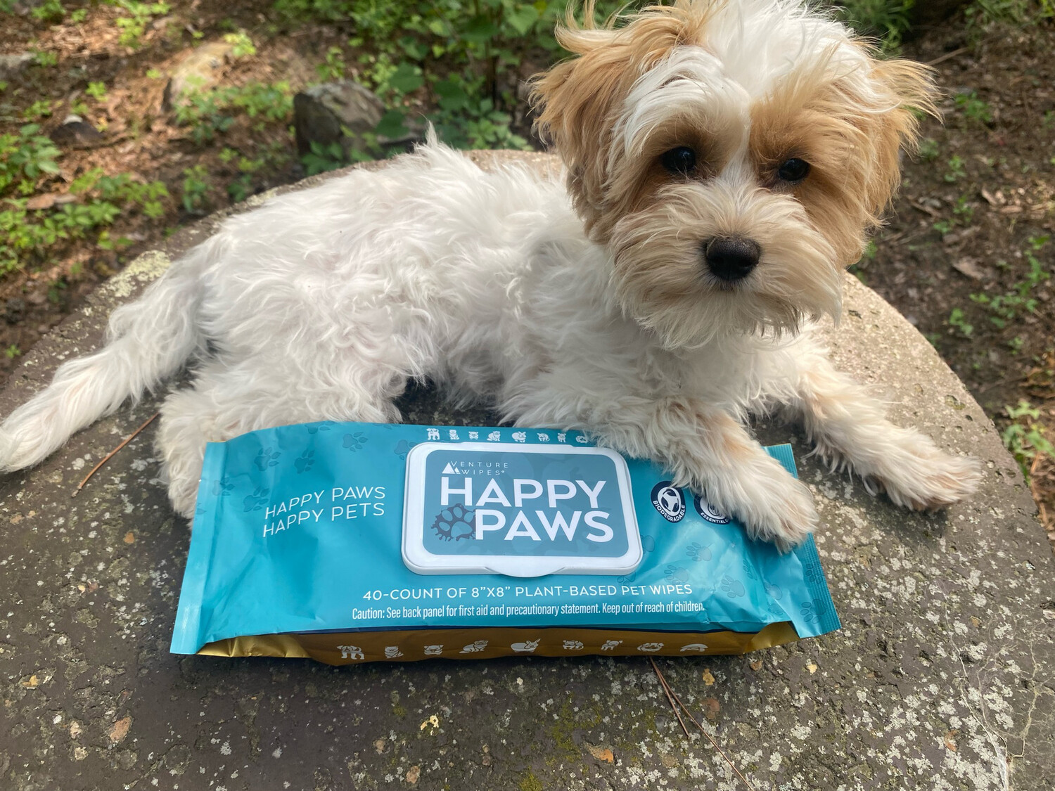 Happy Paws Pet Wipe 40ct Pull Pack