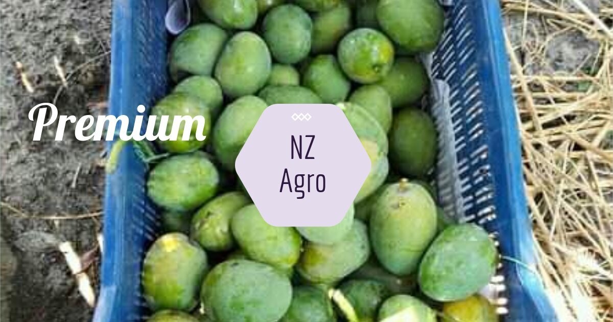25kg  হিমসাগর