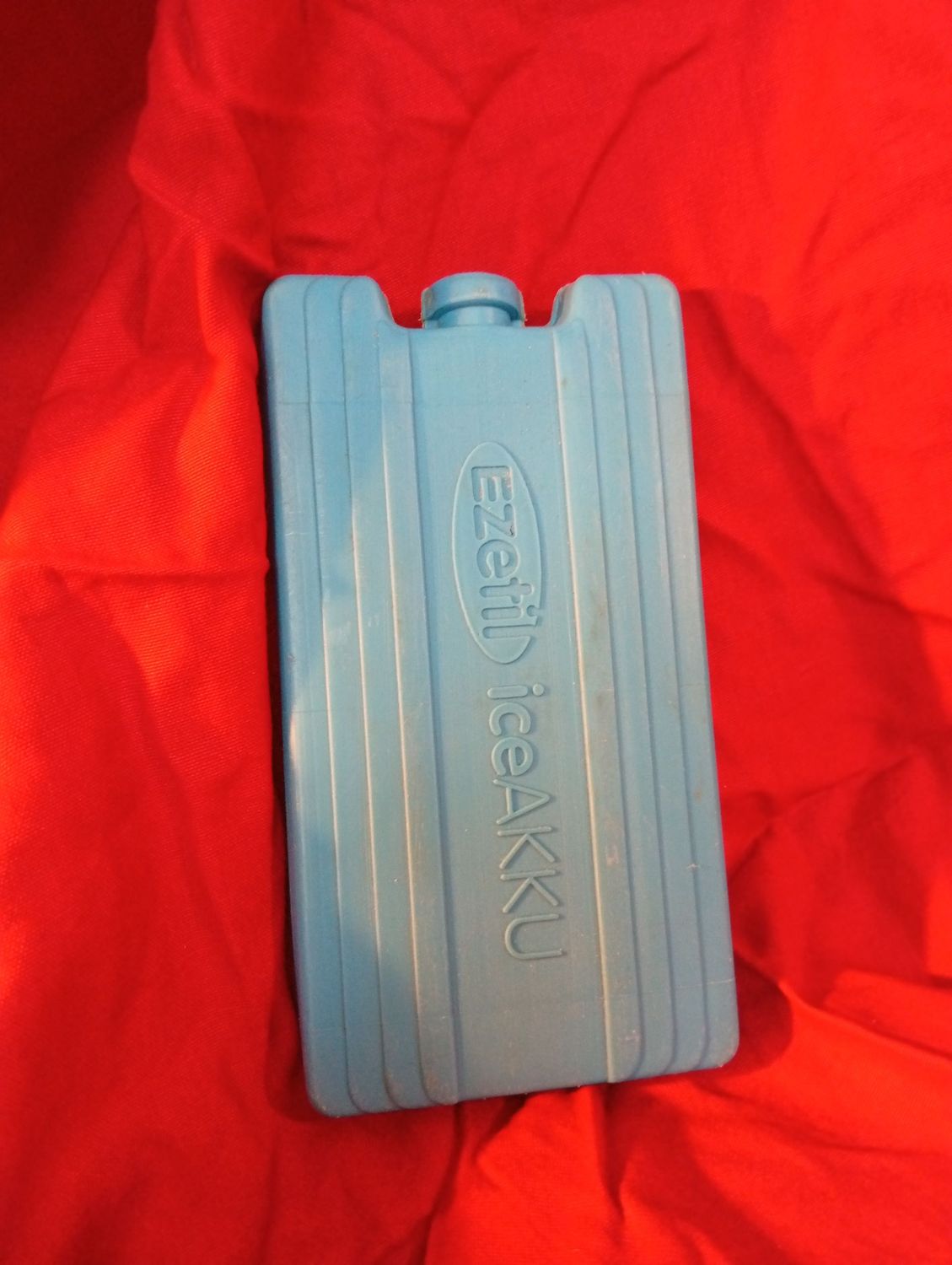 Armin Meiwes freezer ice pack