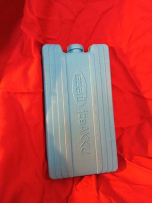 Armin Meiwes freezer ice pack